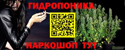 jwh Свободный