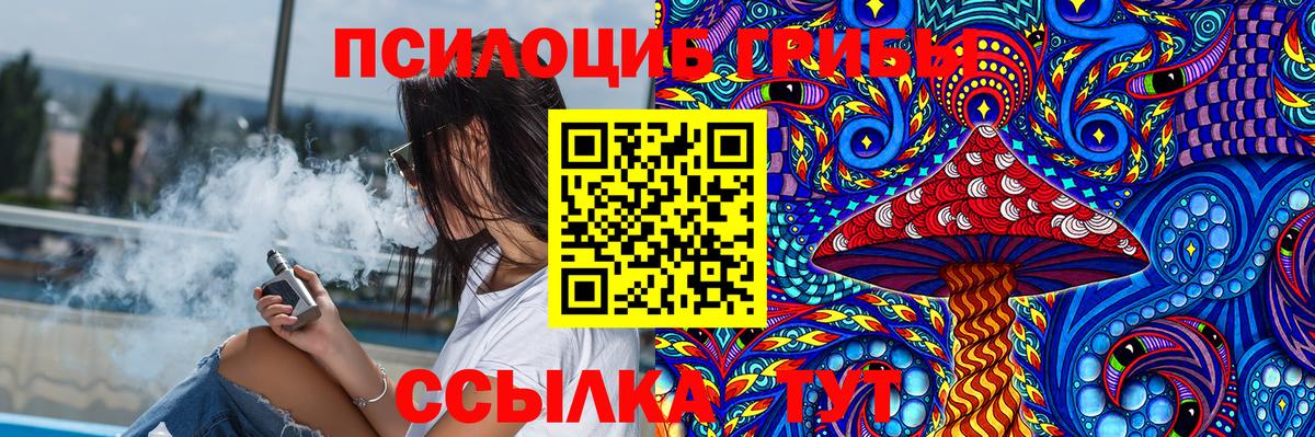 Псилоцибиновые грибы MAGIC MUSHROOMS  Галлюциногенные грибы Psilocybine cubensis  Медногорск  Вход с VPN 
